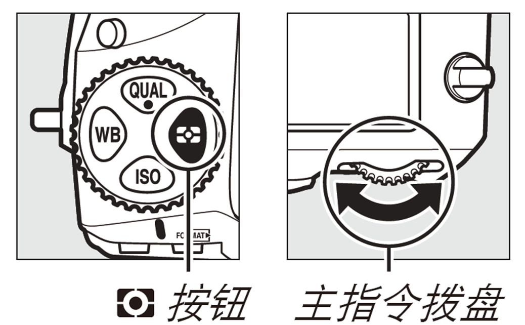 10分钟学会尼康高端单反！尼康粉丝看过来~