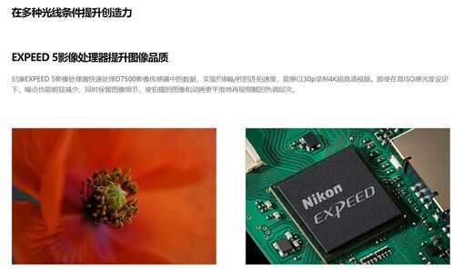 2022年5000~10000元入门单反推荐，3款值得购买的单反