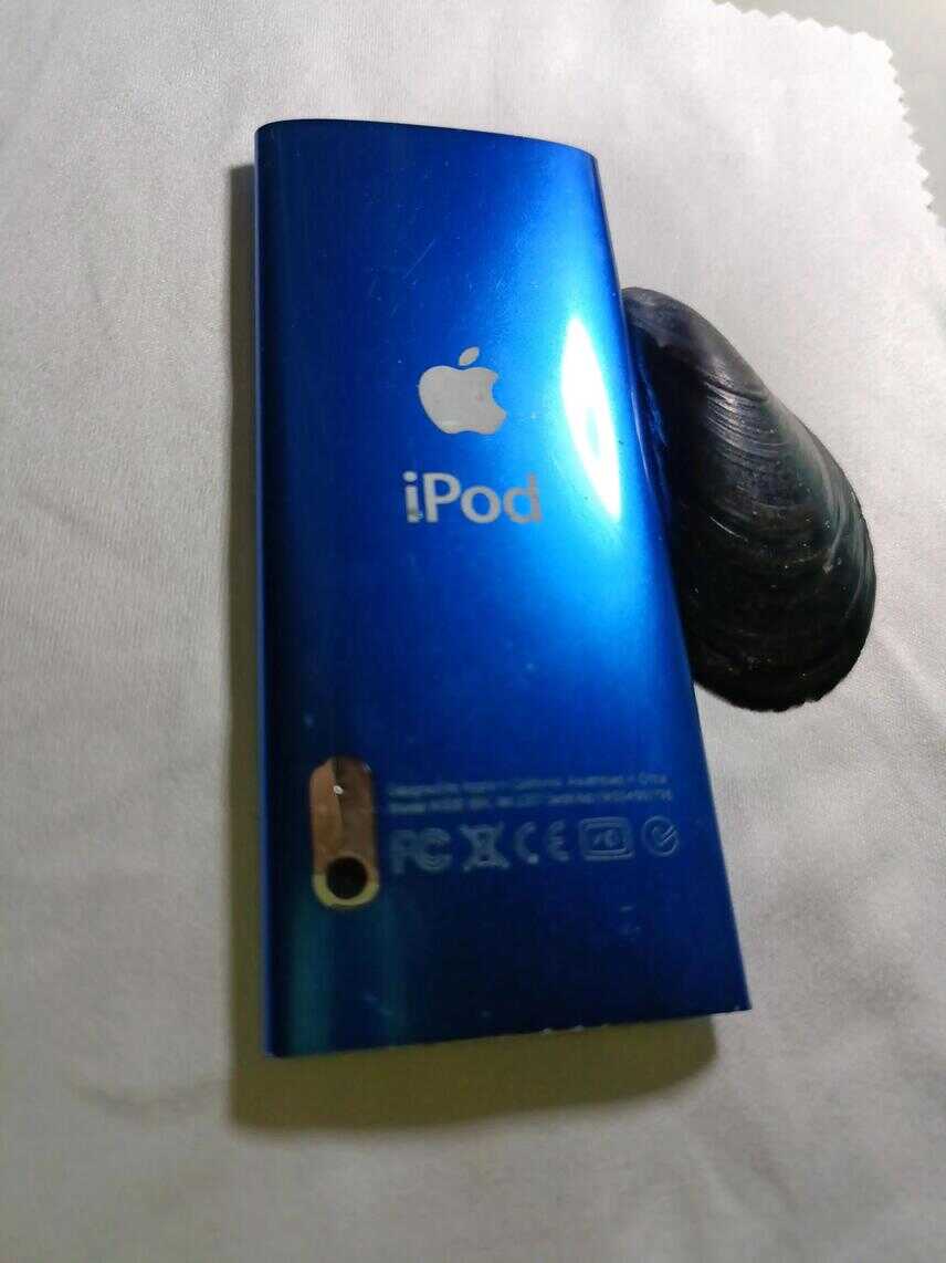 苹果iPod nano5，巅峰后的没落？