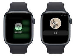 入手 Apple Watch 后不知道怎么用?这里为你准备了 20+ 个小功能