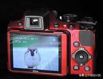 Nikon Coolpix P510 - 超长焦类单反相机评测