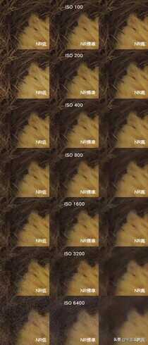 Nikon Coolpix P510 - 超长焦类单反相机评测