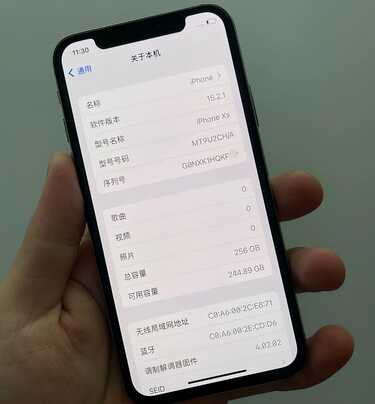 国行原装iPhoneXS 256GB只要1500?网友:怎么可能,肯定是翻新机