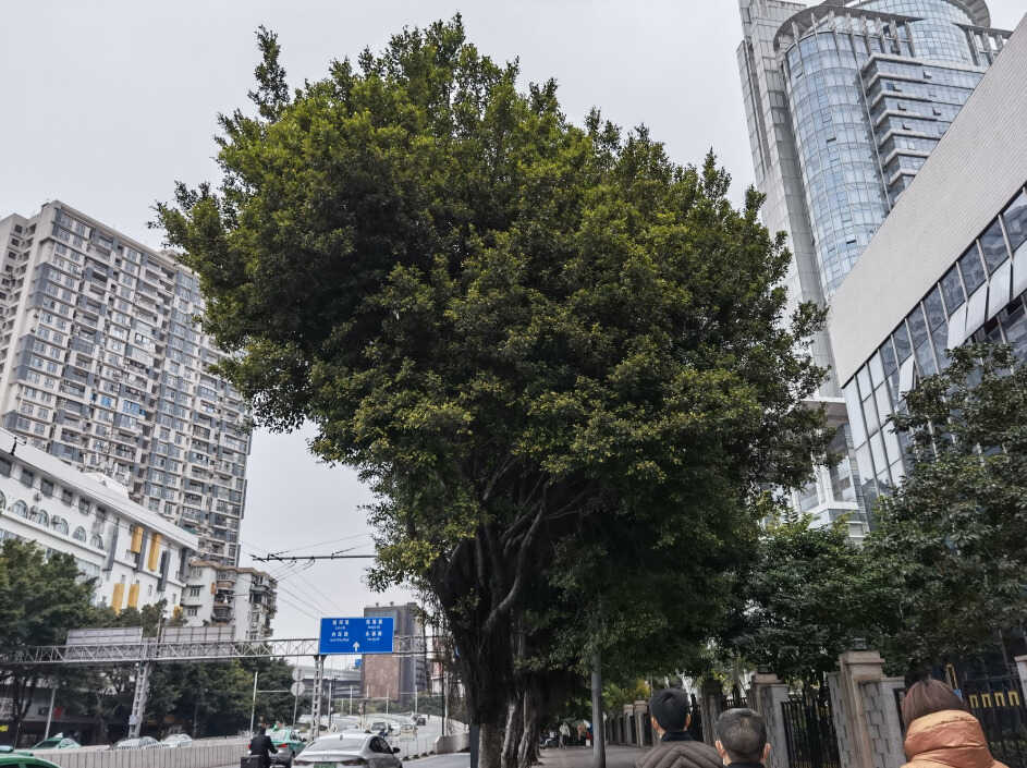 华为Mate40 RS保时捷版评测：麒麟9000真的这么强？