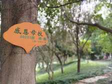华为畅享8e评测：影音提升，千元畅享双摄