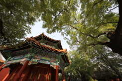 更均衡的一个5 佳能EOS 5D Mark IV评测