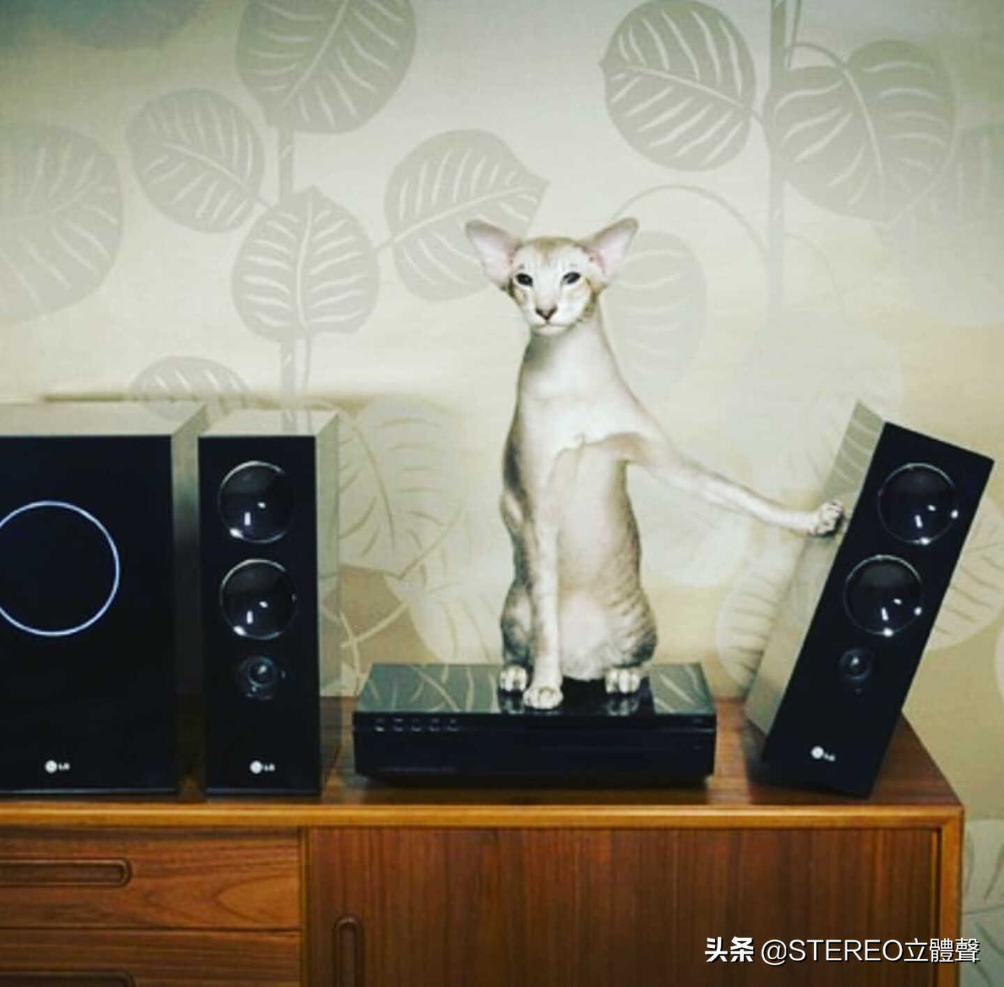 HIFI音响，如何搭配与组合