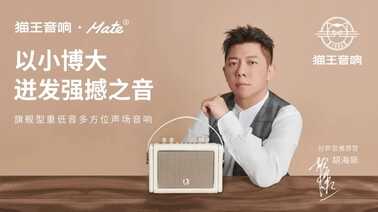 倔强的国货音响!只做一种音箱!音质不比国外品牌差