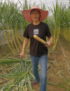 郎平卸任后首晒退休生活悠闲惬意，昔日弟子动态成谜