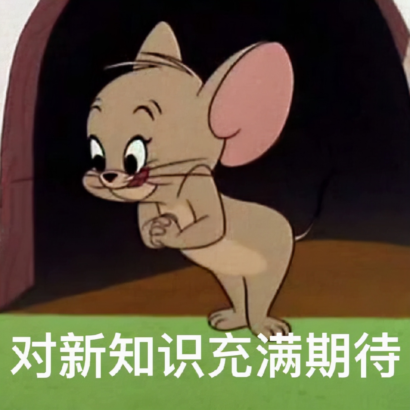 小白家庭WIFi全屋信号覆盖组网省钱指南:从小白到入坑