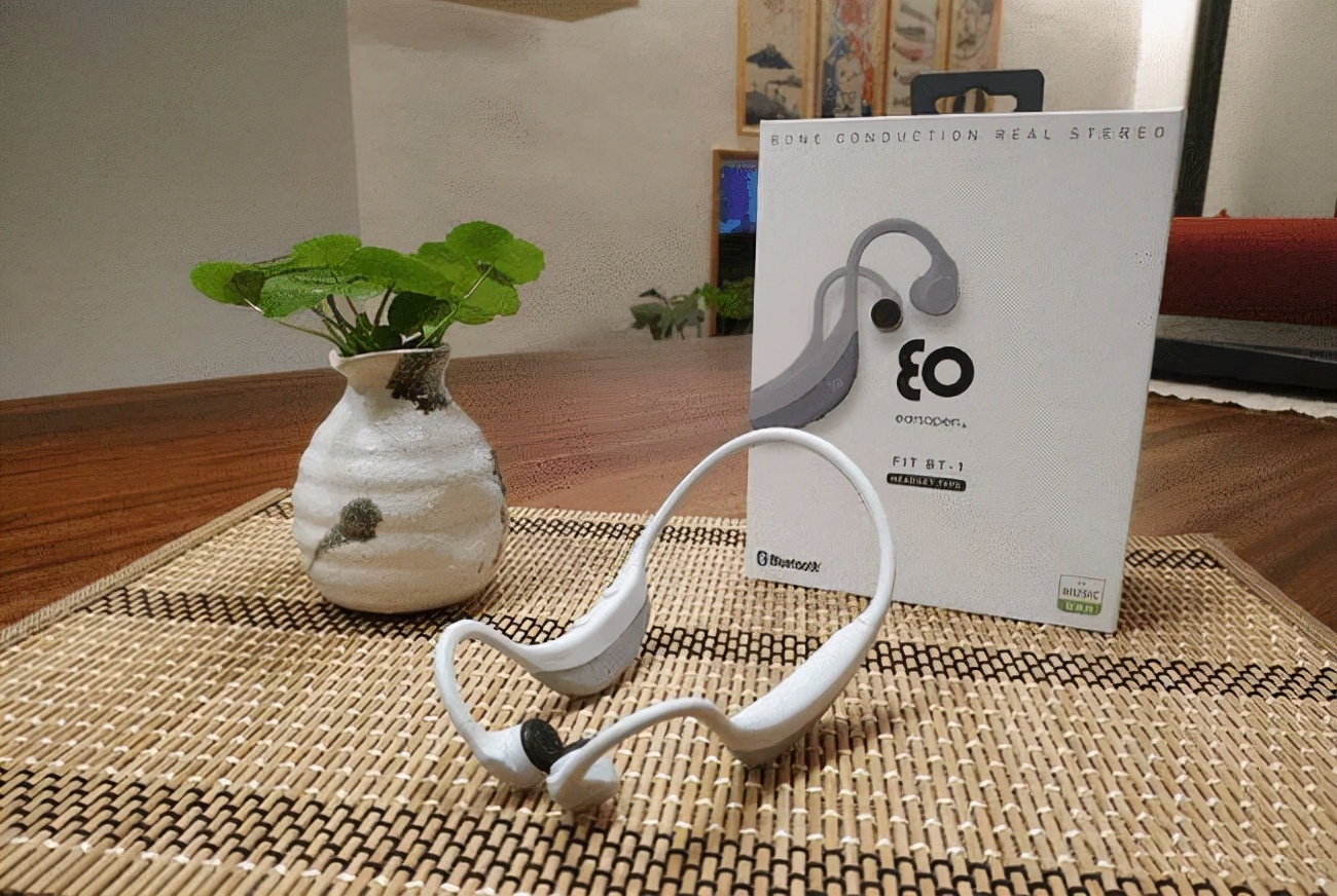 骨传导耳机排行榜,2021好用的骨传导耳机有哪些