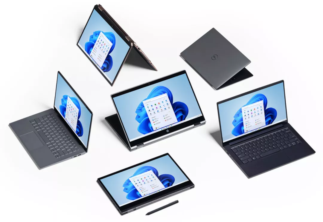 免费!Windows 11 正式版来了,这四种方式快速升级