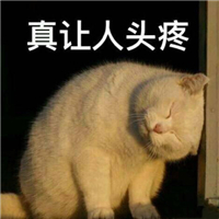 Word中烦人的页眉横线就是删不掉?这里有4种删除方法!一看就会