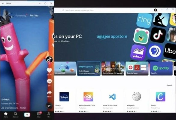强行升级Win11后不能更新怎么办，win11系统无法更新解决方法