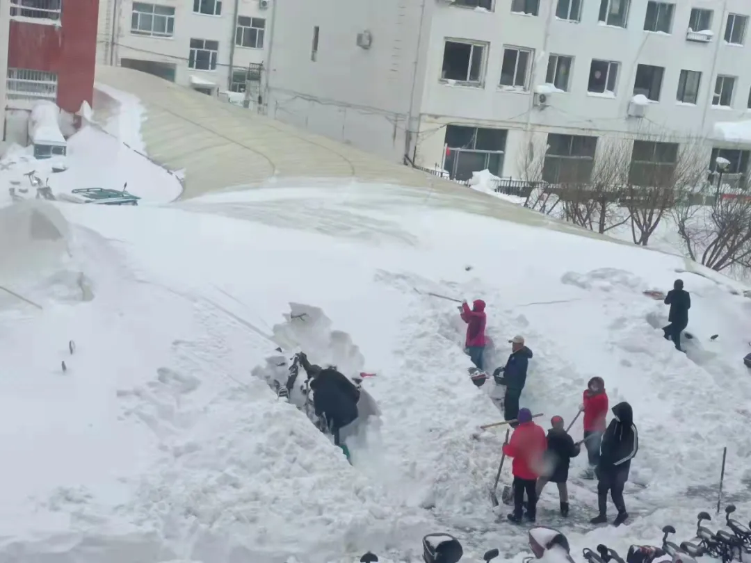 东北、内蒙古多地发生特大暴雪,专家:有可能引发雪灾