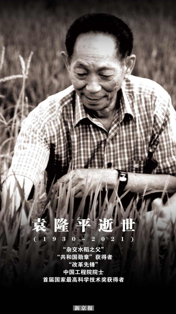 新闻多一度│再送袁老,安葬仪式上的这些细节让人破防