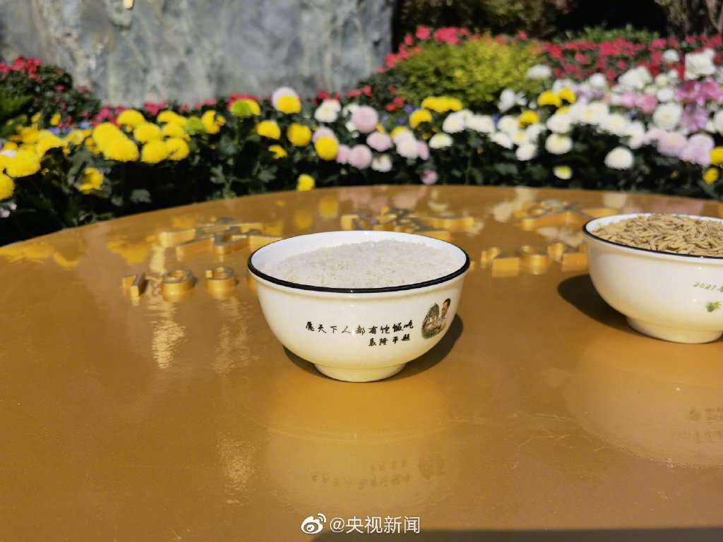 新闻多一度│再送袁老,安葬仪式上的这些细节让人破防