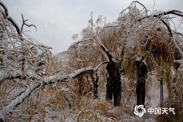 实力派冷空气又来！近20个大城市降温将超10℃ 东北或再遭特大暴雪