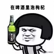 dlp技术和单片lcd的区别是什么（DLP和LCD技术优缺点）
