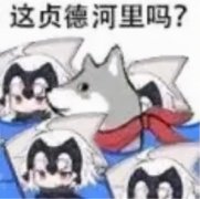 ips显示器哪个品牌的好(ips显示器选择)
