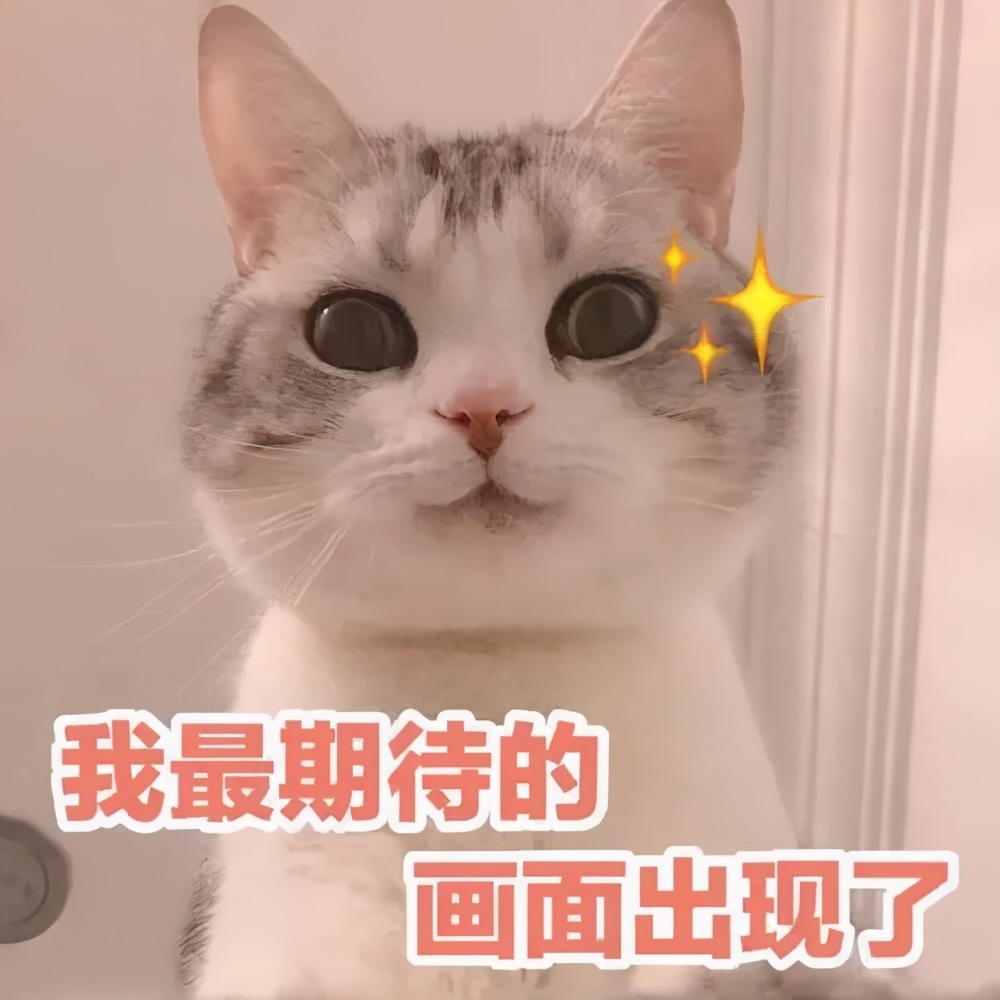 惠普推出了一款960g的笔记本,我体验了一遍