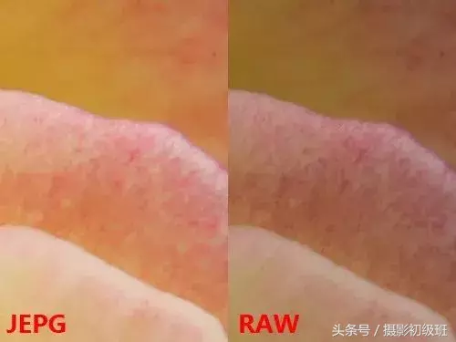 照片选择raw格式还是jpg格式?本文让你不再纠结