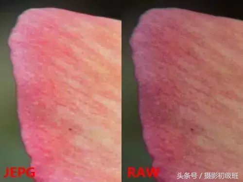 照片选择raw格式还是jpg格式?本文让你不再纠结
