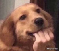 windows和macos系统哪个好(mac系统和windows系统的区别)