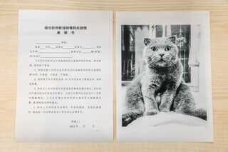 比佳能、惠普省钱,无需高昂耗材费,喵喵机家用学习打印机F1体验