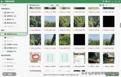 苹果手机相册恢复怎么做?2个正确找回方式