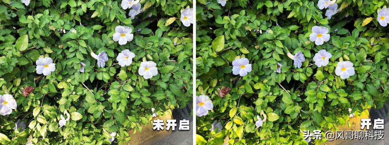三星Galaxy S22+专业级AI相机有多强?白天、黑夜拍照同样精彩