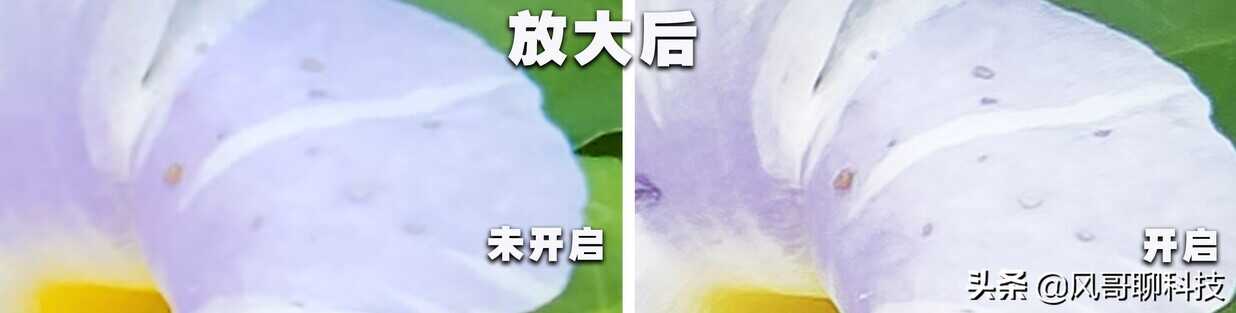 三星Galaxy S22+专业级AI相机有多强?白天、黑夜拍照同样精彩