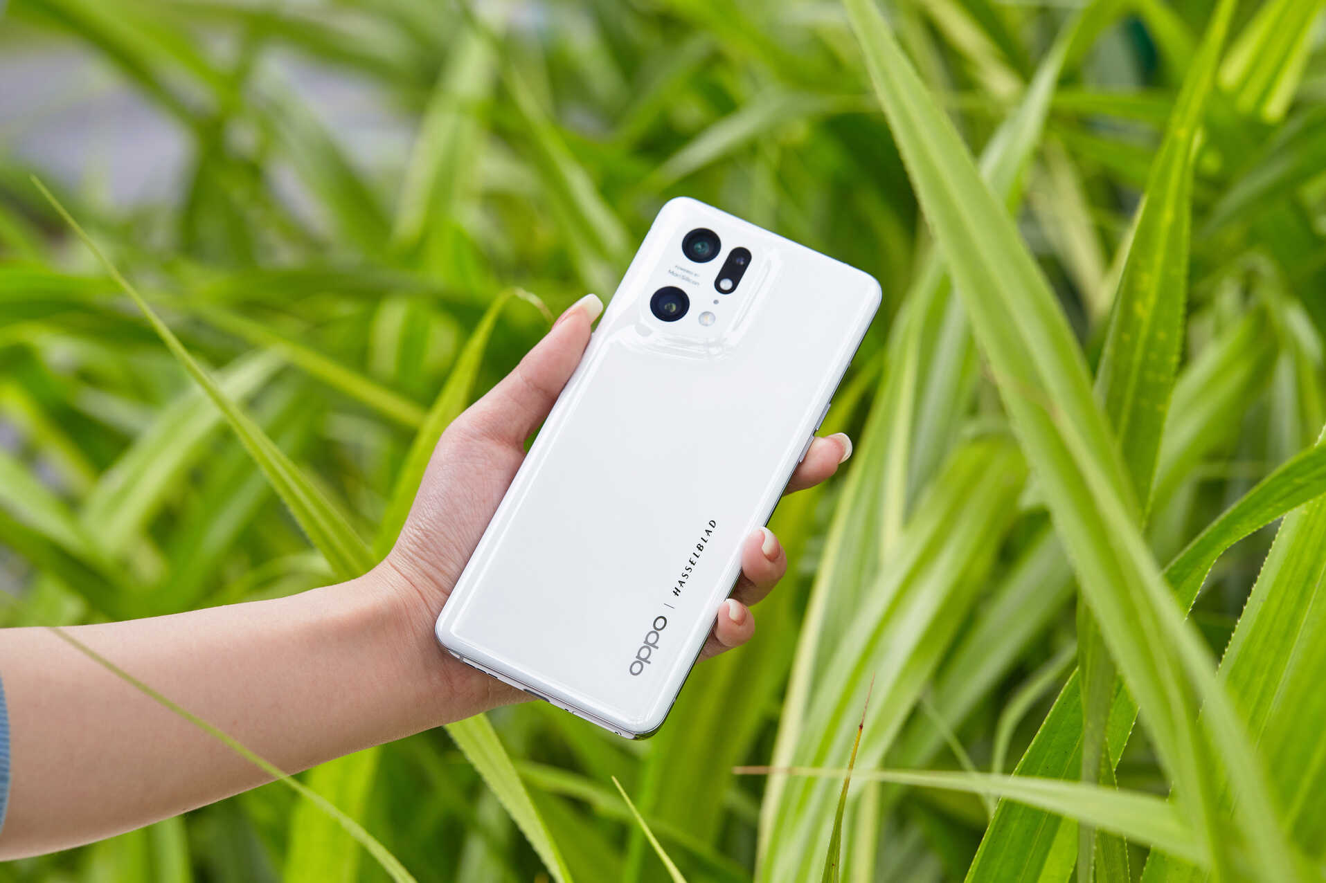 全球首个CC MDFPP认证!OPPO Find X5 Pro收获权威认可,安全实力抢镜