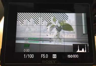 拍视频不会设置?这篇文章讲得很全面