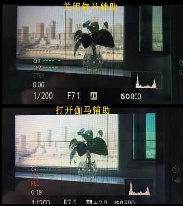 拍视频不会设置?这篇文章讲得很全面