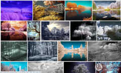 佳能a560评测(这样的拍摄效果真是意想不到)