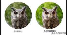 教你正确使用望远镜,以及望远镜清晰度由什么决定