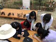 艾尼提(Anyty)便携式视频显微镜助力户外教学