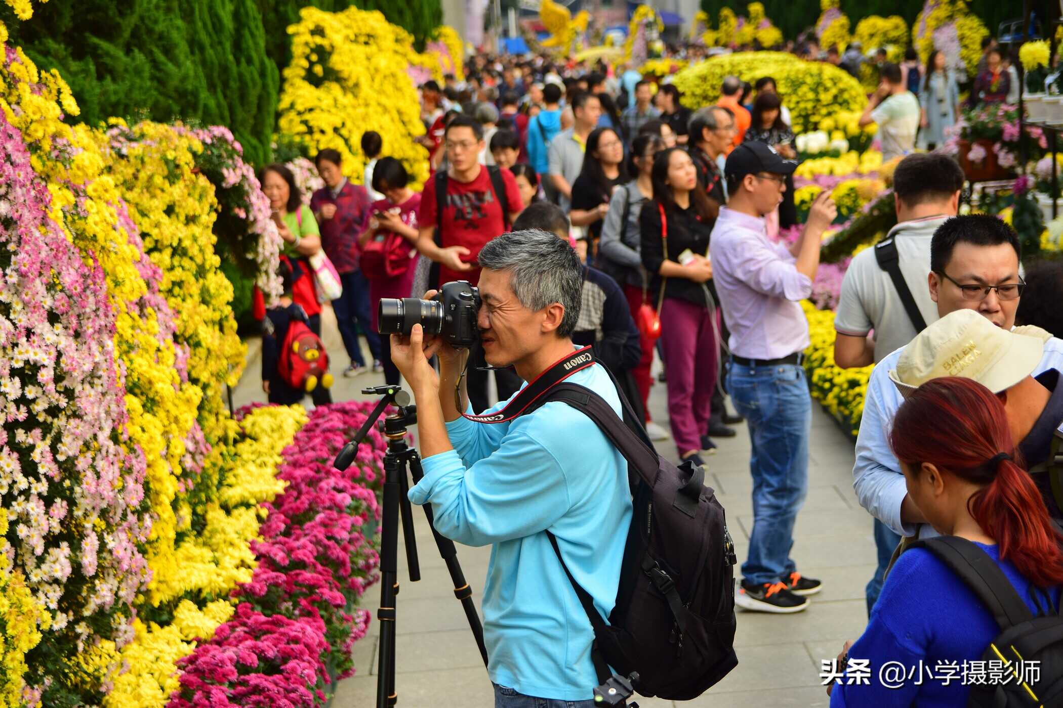 入门级“牛头”F2.8恒定大光圈只售1799元,适马17-50 F2.8