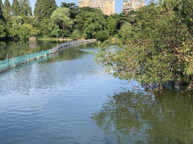 众筹卖爆走量产,佳能PowerShot ZOOM轻松把远景“揣”回家