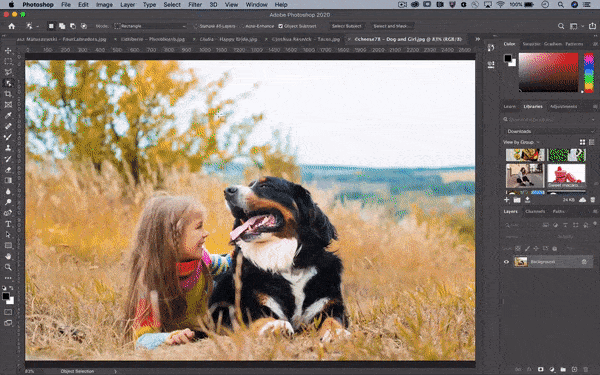 一键抠出细密发丝,这是Adobe最新AI抠图算法,即将上线Photoshop