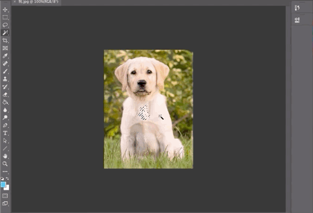 一键抠出细密发丝,这是Adobe最新AI抠图算法,即将上线Photoshop