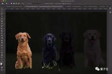 一键抠出细密发丝,这是Adobe最新AI抠图算法,即将上线Photoshop