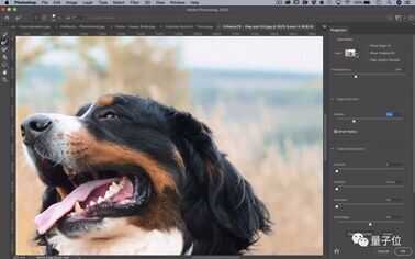 一键抠出细密发丝,这是Adobe最新AI抠图算法,即将上线Photoshop