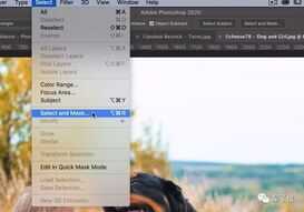 一键抠出细密发丝,这是Adobe最新AI抠图算法,即将上线Photoshop