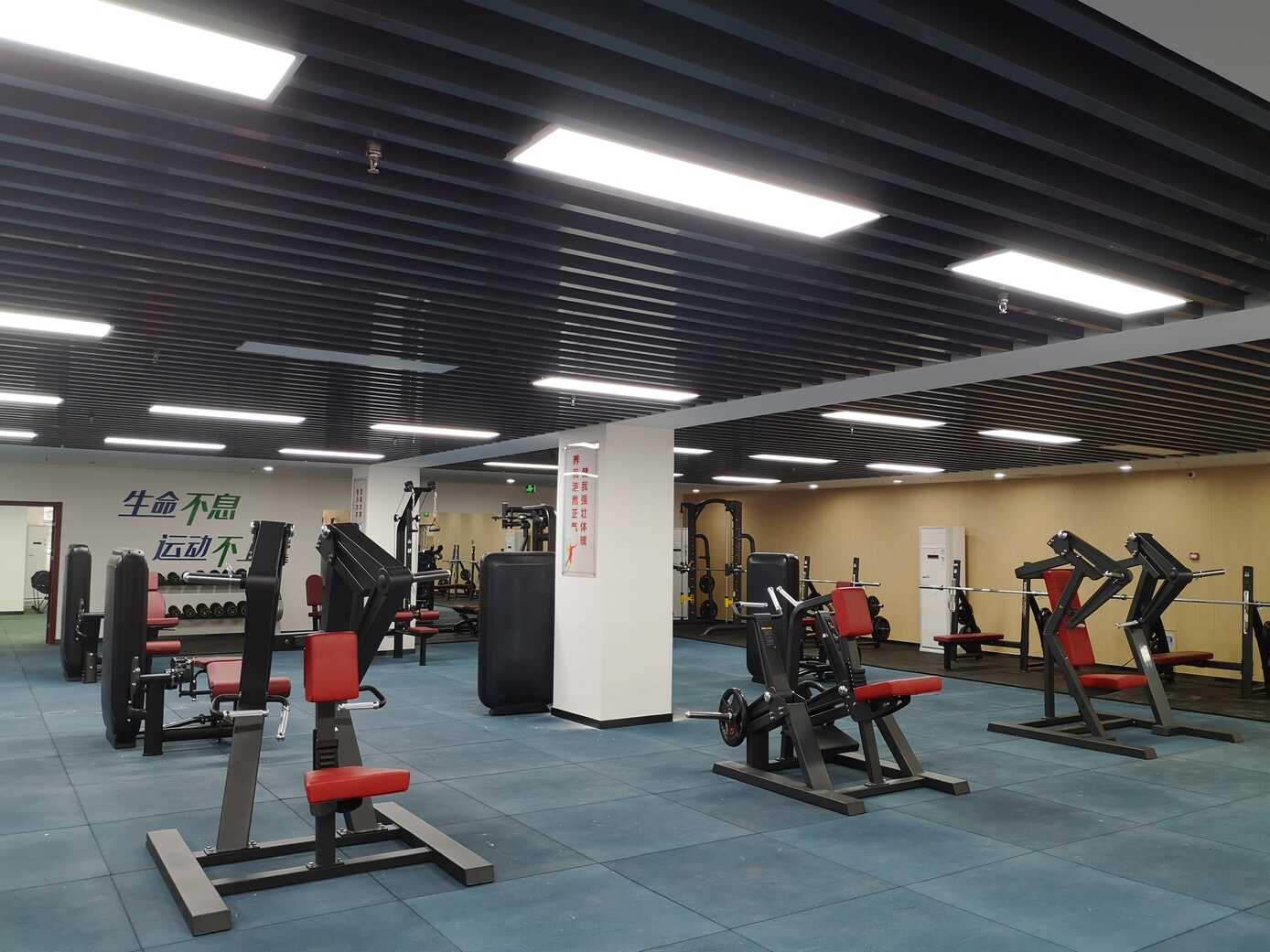 国内健身器材厂家有哪些,哪家好