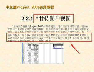 30分钟学会project使用教程(内容超详细),手把手教我们快速掌握