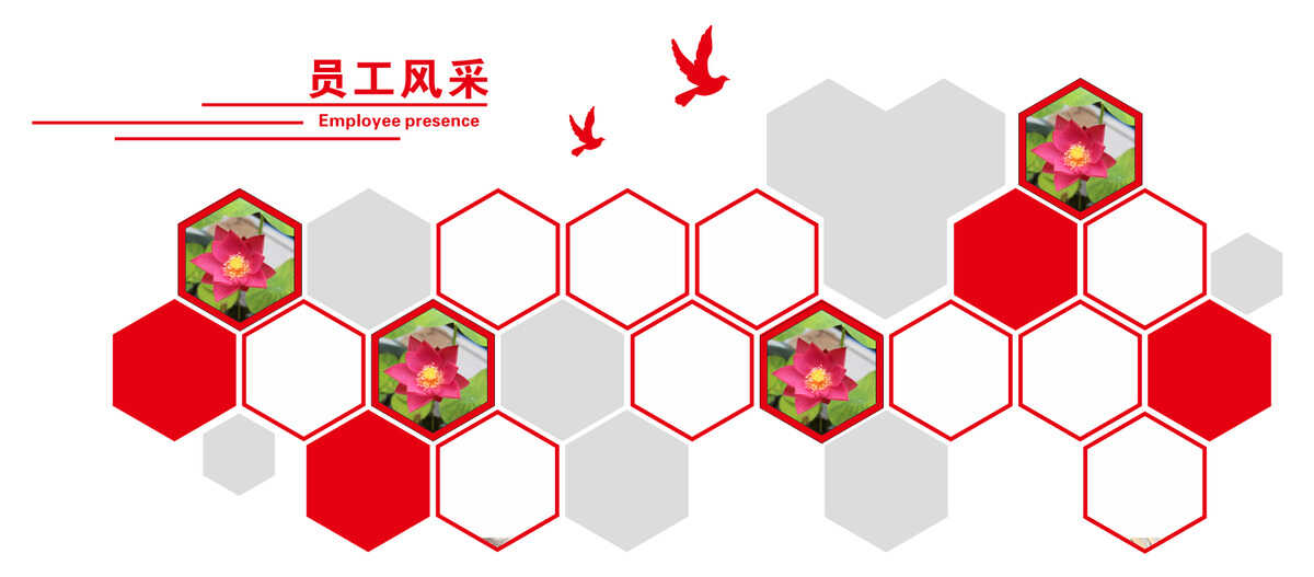 CorelDRAW把图片放入任意形状内,平面,矢量图形制作工具软件