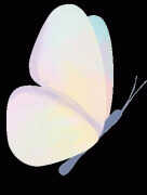 pdu电源和插排的区别(全面解析两者区别)