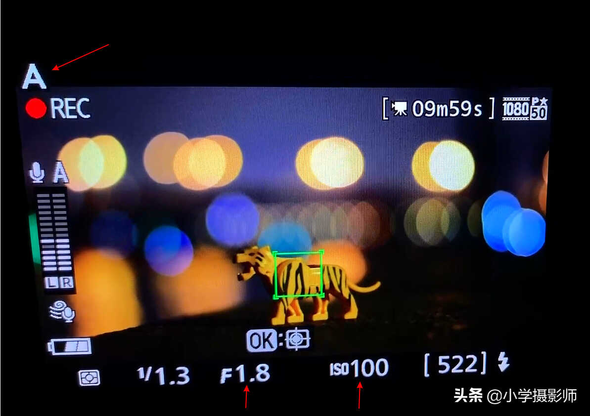 尼康D5300+50MM1.8G拍摄短视频,分享不一样的新玩法